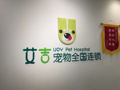 -艾吉宠物医院·疑难杂症转诊中心·猫友好(碧江路院)