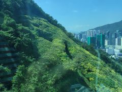 -香港海洋公园