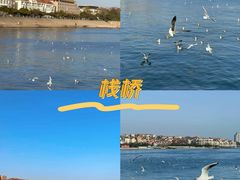 -栈桥景区