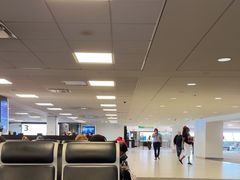 -约翰·菲茨杰拉德·肯尼迪国际机场