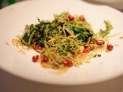 巧拌豆苗-四季民福烤鸭店(前门大栅栏店)