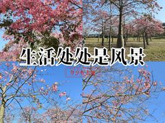 -风云岭森林公园