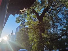 -七彩云南庆沣祥茶庄(金融街店)