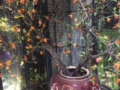 -范设计花园餐酒咖·中西餐·咖啡厅·酒馆