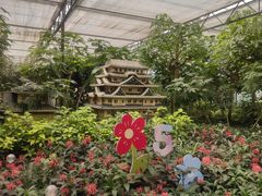 -南宫五洲植物乐园