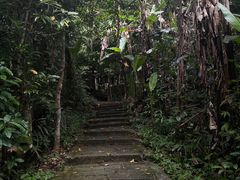 -七仙岭温泉国家森林公园