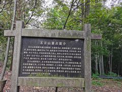 -西湖风景区十里琅珰-五云山