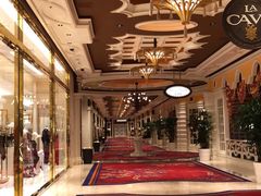 -拉斯维加斯永利酒店