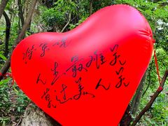 -将军关探险漂流