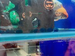-蚝翅·海鲜粥·烧烤·龙虾季(海曙天一店)
