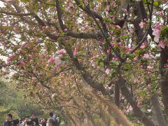 -元大都城垣遗址公园