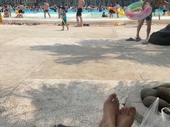 -重庆海昌加勒比海水世界