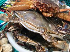 -船梆煮•蒸汽海鲜·炉火烤肉(五四广场店)