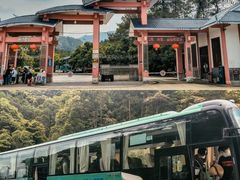 -九龙江国家森林公园