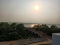 -宝安西湾红树林湿地公园