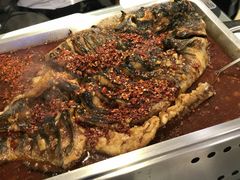 -鱼酷活鱼烤鱼(信息城店)