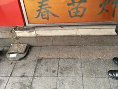 -春苗炸鸡