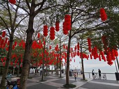 -深圳湾公园(南山区)