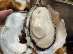 -土蚝·高压锅生蚝(百姓美食街店)