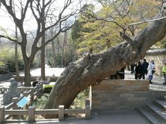 -青岛崂山太清宫