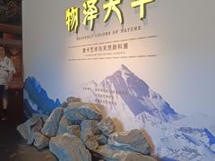 -妙应寺白塔
