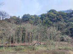 -青城山