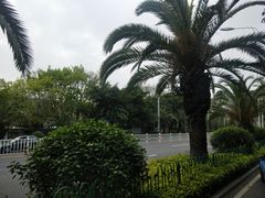 -胡里山炮台