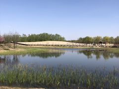 -东郊湿地公园