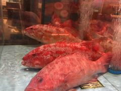 -阿伟海鲜楼·福建菜(延寿店)