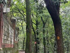 -西湖风景区十里琅珰-五云山