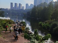 -重庆彩云湖湿地公园