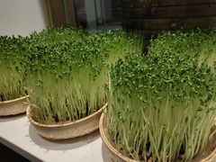 -千稻剁椒大鱼头(CityOn熙地港店)