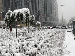 -小绿谷公园