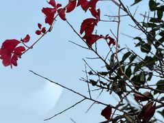 -北京西山国家森林公园