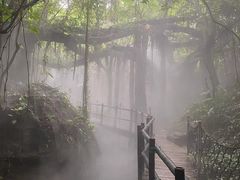 -青青世界