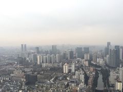 -339旋转餐厅(天府熊猫塔店)