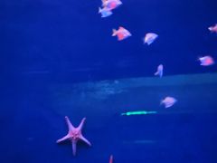 -沈阳海洋探索中心