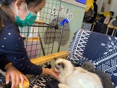 -平行世界·猫咖(首经贸店)