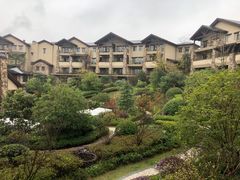 -浙江安吉JW万豪酒店·万豪中餐厅