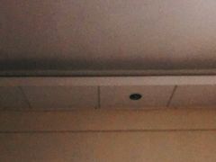 -小蓝鲸湖北菜(八一路店)