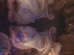 -沈阳海洋探索中心