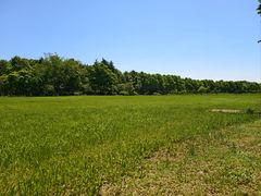 -宜兴龙背山森林公园