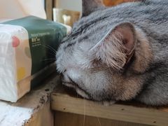 -H立方实景剧情密室(天河旗舰店)