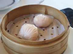 虾饺-宝丽轩中餐厅BAOLIXUAN
