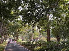 -中国科学院西双版纳热带植物园