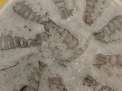 -官塘陈记鱼生·潮汕砂锅粥·牛肉火锅(潮枫路总店)