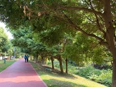 -两河城市森林公园