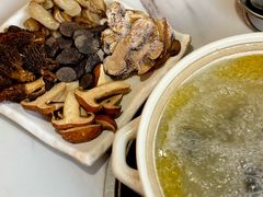 -蘑统田下·野生菌火锅