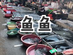 -白沙农贸综合市场