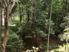 -东明山森林公园